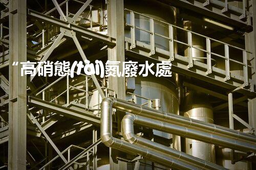 “高硝態(tài)氮廢水處理，綠色環(huán)保新篇章”